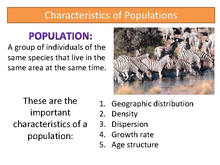 Characteristics of Populations A group of individuals of the same species that live in
