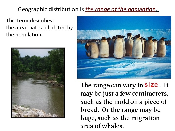 Geographic distribution is the range of the population. This term describes: the area that