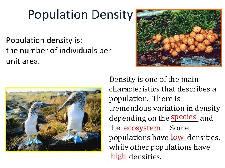 Population Density Population density is: the number of individuals per unit area. Density is