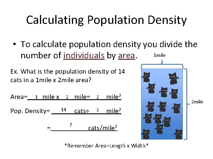 Calculating Population Density • To calculate population density you divide the 1 mile number