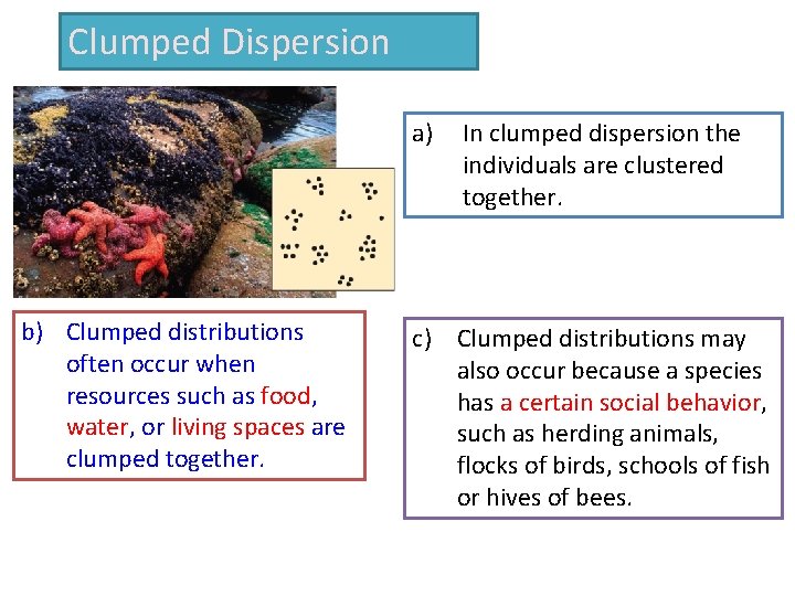 Clumped Dispersion a) b) Clumped distributions often occur when resources such as food, water,