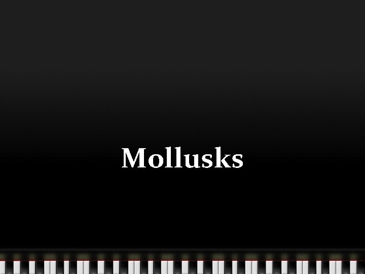 Mollusks 