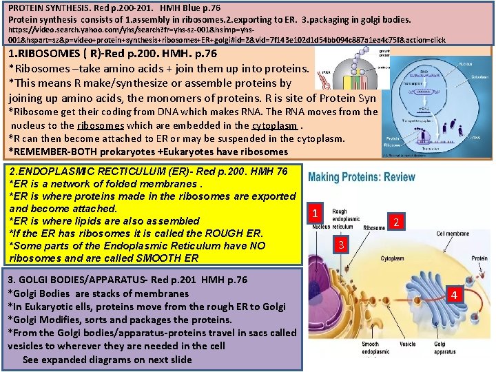 PROTEIN SYNTHESIS. Red p. 200‐ 201. HMH Blue p. 76 Protein synthesis consists of