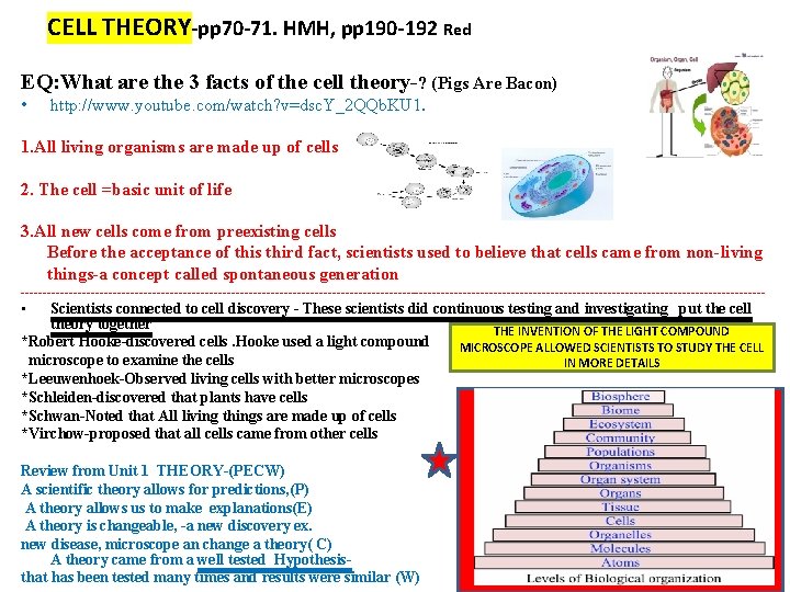 CELL THEORY‐pp 70‐ 71. HMH, pp 190‐ 192 Red EQ: What are the 3