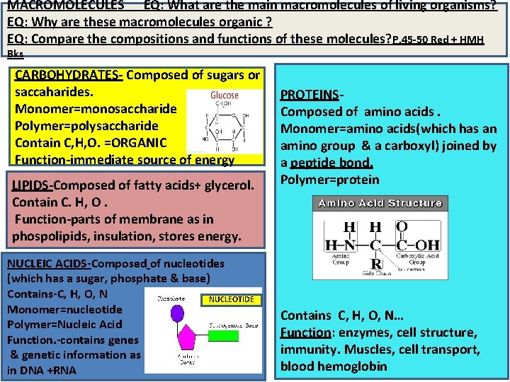 MACROMOLECULES EQ: What are the main macromolecules of living organisms? EQ: Why are these