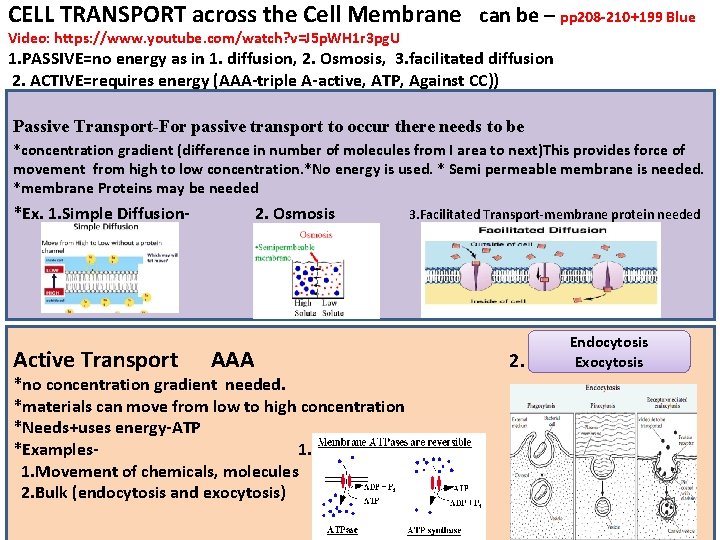 CELL TRANSPORT across the Cell Membrane can be – pp 208‐ 210+199 Blue Video: