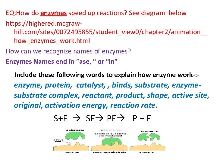 EQ: How do enzymes speed up reactions? See diagram below https: //highered. mcgrawhill. com/sites/0072495855/student_view