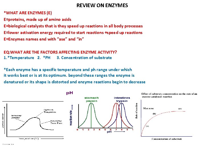 REVIEW ON ENZYMES *WHAT ARE ENZYMES (E) E=proteins, made up of amino acids E=biological