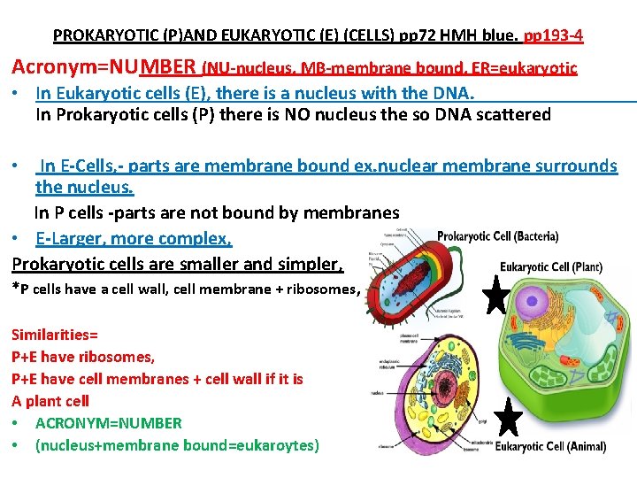 PROKARYOTIC (P)AND EUKARYOTIC (E) (CELLS) pp 72 HMH blue. pp 193‐ 4 Acronym=NUMBER (NU‐nucleus,