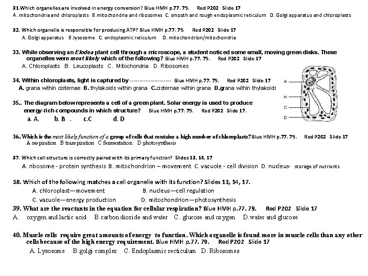 31. Which organelles are involved in energy conversion? Blue HMH p. 77. 79. Red