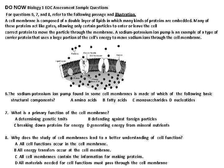 DO NOW Biology 1 EOC Assessment Sample Questions For questions 6, 7, and 8,