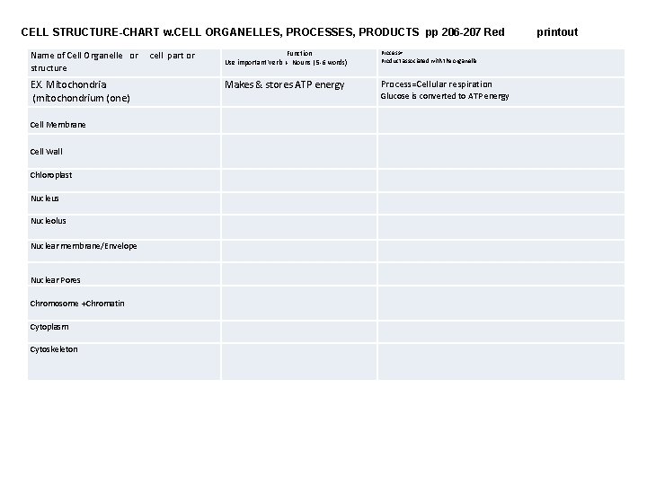CELL STRUCTURE-CHART w. CELL ORGANELLES, PROCESSES, PRODUCTS pp 206 -207 Red Name of Cell