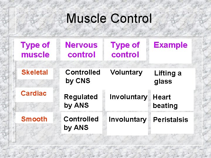 Muscle Control Type of muscle Nervous control Type of control Example Skeletal Controlled by