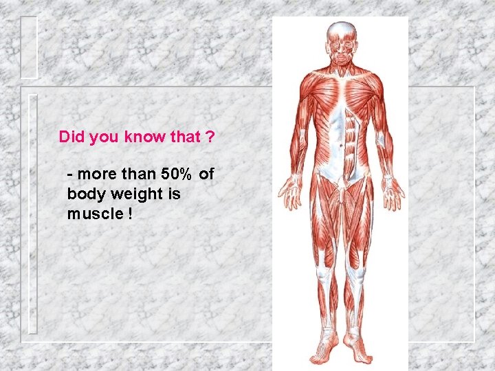 Did you know that ? - more than 50% of body weight is muscle
