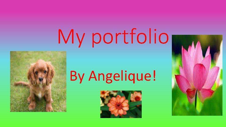 My portfolio By Angelique! 
