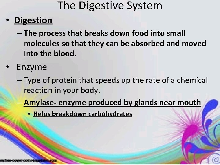 The Digestive System • Digestion – The process that breaks down food into small