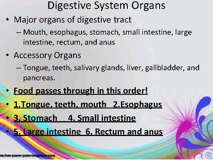 Digestive System Organs • Major organs of digestive tract – Mouth, esophagus, stomach, small