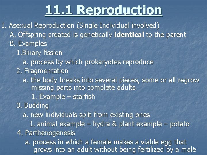 11. 1 Reproduction I. Asexual Reproduction (Single Individual involved) A. Offspring created is genetically 11. 1 Reproduction I. Asexual Reproduction (Single Individual involved) A. Offspring created is genetically