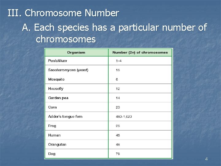 III. Chromosome Number A. Each species has a particular number of chromosomes 4 III. Chromosome Number A. Each species has a particular number of chromosomes 4