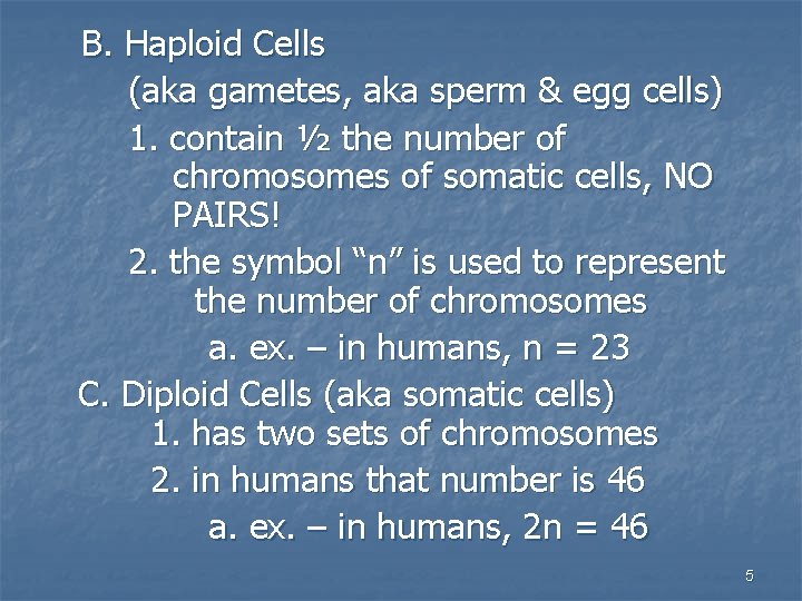 B. Haploid Cells (aka gametes, aka sperm & egg cells) 1. contain ½ the B. Haploid Cells (aka gametes, aka sperm & egg cells) 1. contain ½ the