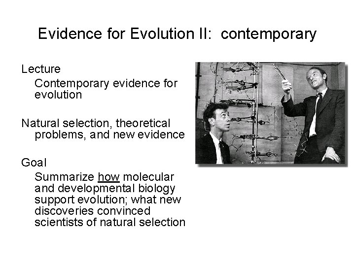 Evidence for Evolution II: contemporary Lecture Contemporary evidence for evolution Natural selection, theoretical problems,