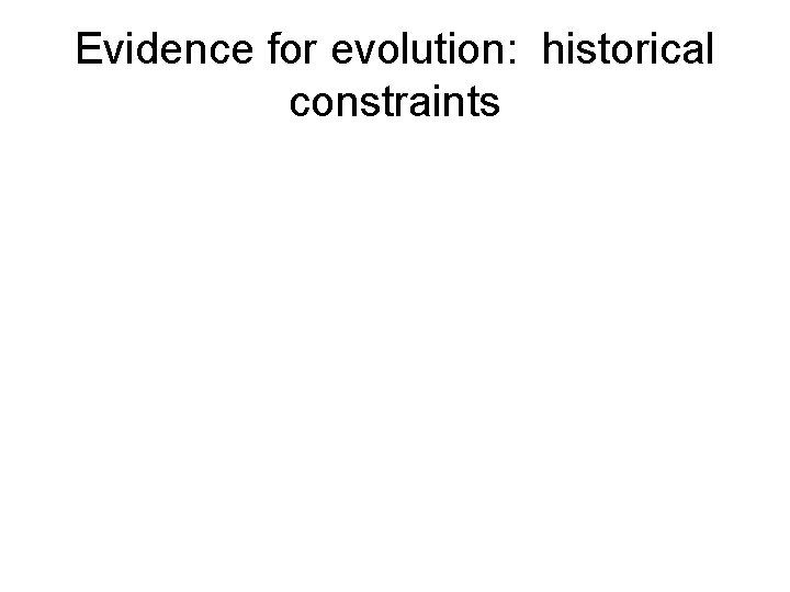 Evidence for evolution: historical constraints 