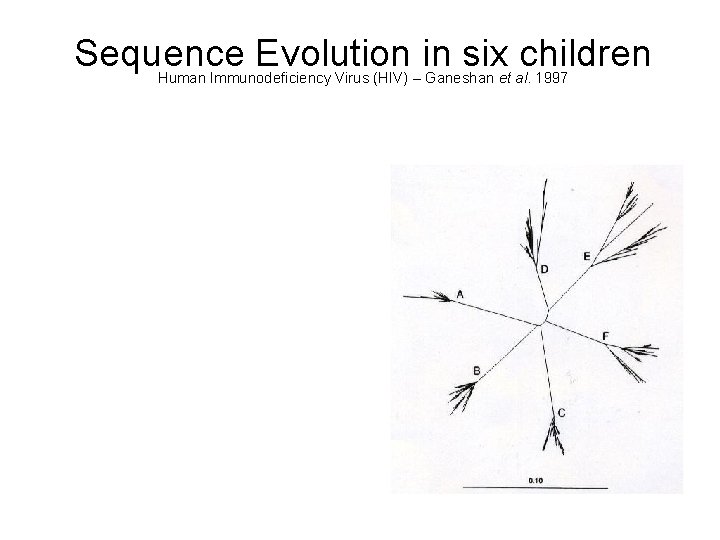 Sequence Evolution in six children Human Immunodeficiency Virus (HIV) – Ganeshan et al. 1997