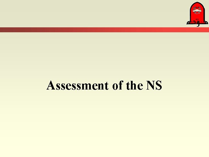 Assessment of the NS 