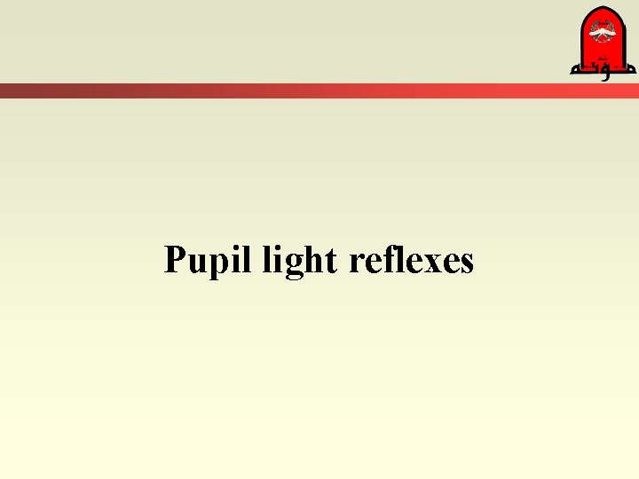 Pupil light reflexes 