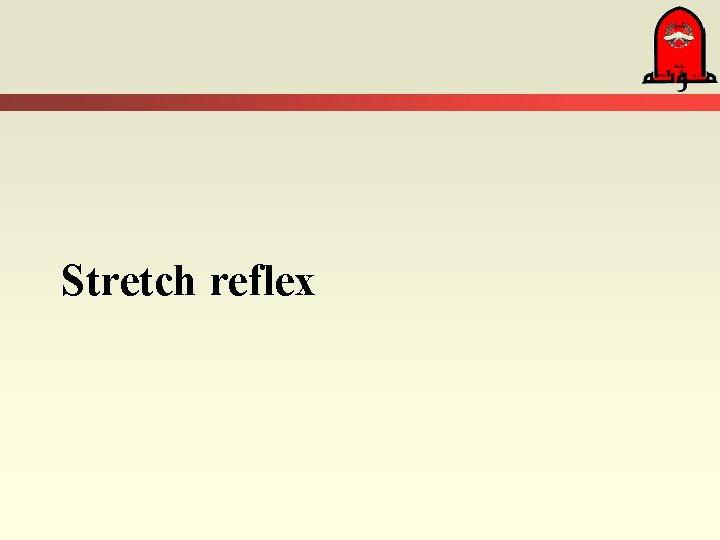Stretch reflex 