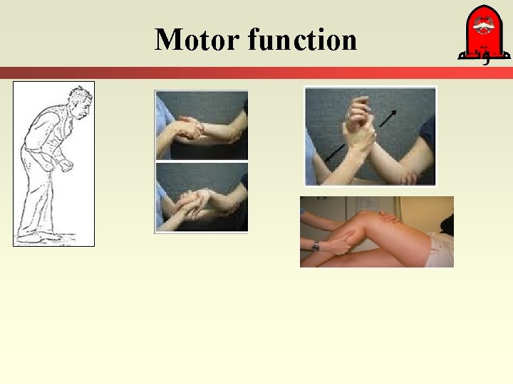 Motor function 