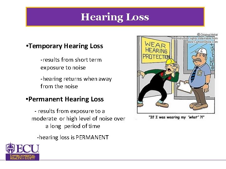 Hearing Loss • Temporary Hearing Loss -results from short term exposure to noise -hearing