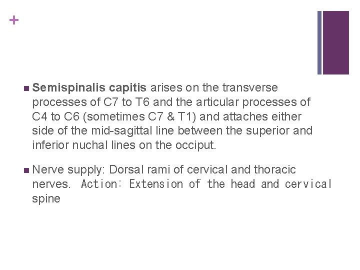 + n Semispinalis capitis arises on the transverse processes of C 7 to T