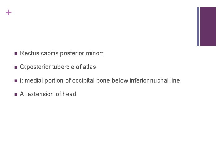 + n Rectus capitis posterior minor: n O: posterior tubercle of atlas n i: