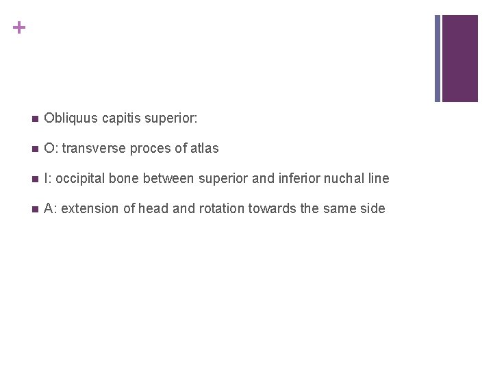 + n Obliquus capitis superior: n O: transverse proces of atlas n I: occipital