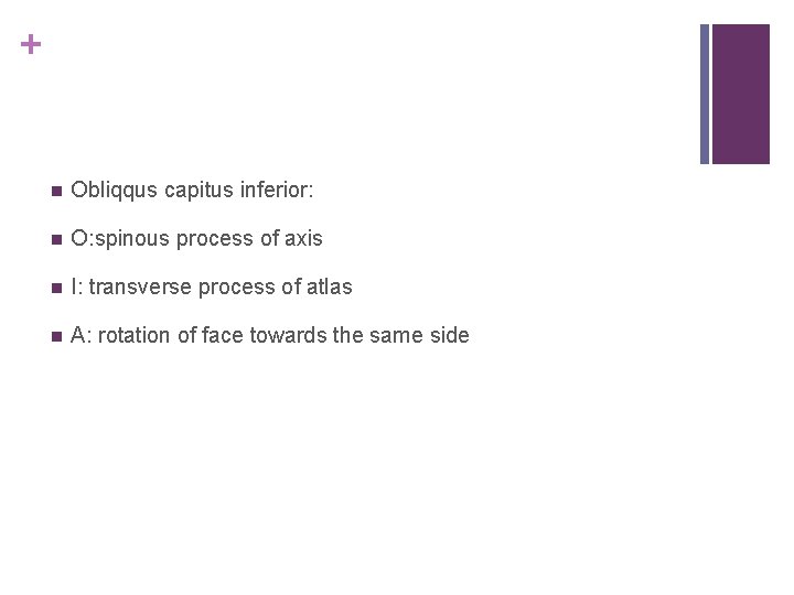 + n Obliqqus capitus inferior: n O: spinous process of axis n I: transverse