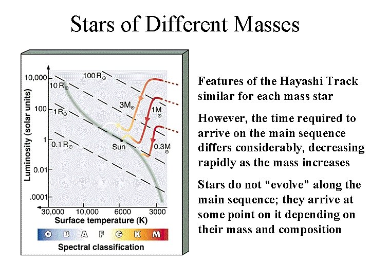 Stars of Different Masses Features of the Hayashi Track similar for each mass star