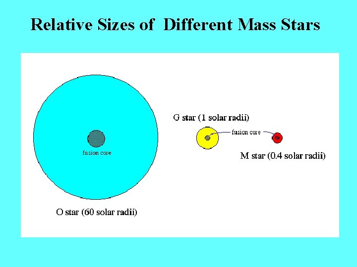 Relative Sizes of Different Mass Stars 
