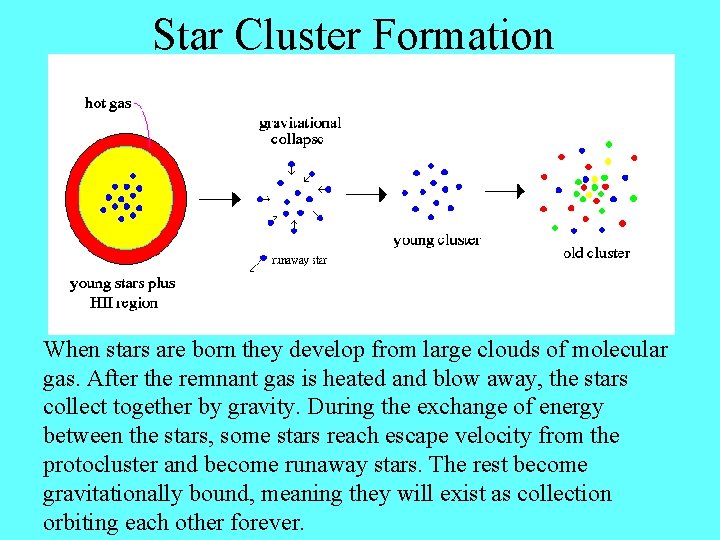 Star Cluster Formation When stars are born they develop from large clouds of molecular