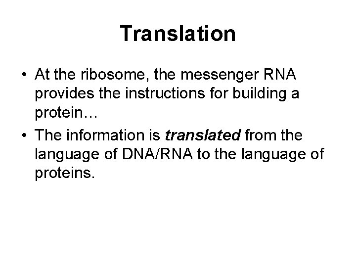 Translation • At the ribosome, the messenger RNA provides the instructions for building a
