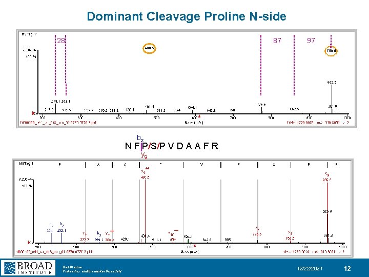 Dominant Cleavage Proline N-side 28 87 97 b 2 N F|P/S/P V D A