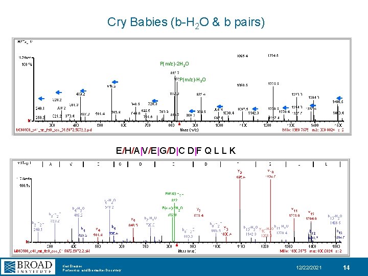 Cry Babies (b-H 2 O & b pairs) P(m/z)-2 H 2 O P(m/z)-H 2