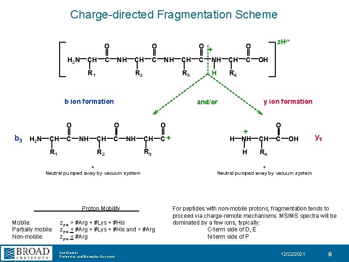 Charge-directed Fragmentation Scheme O H 2 N CH O C NH R 1 CH