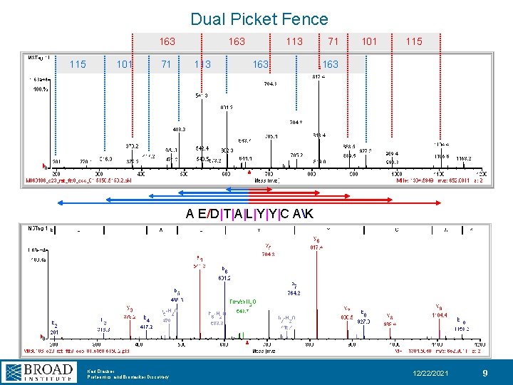 Dual Picket Fence 163 115 101 71 163 113 163 71 101 115 163