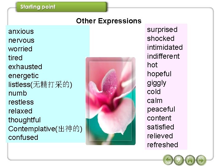 Other Expressions anxious nervous worried tired exhausted energetic listless(无精打采的) numb restless relaxed thoughtful Contemplative(出神的)