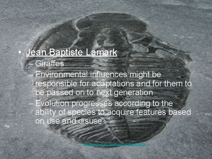 • Jean Baptiste Lamark – Giraffes – Environmental influences might be responsible for • Jean Baptiste Lamark – Giraffes – Environmental influences might be responsible for