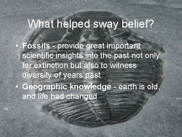What helped sway belief? • Fossils - provide great important scientific insights into the What helped sway belief? • Fossils - provide great important scientific insights into the
