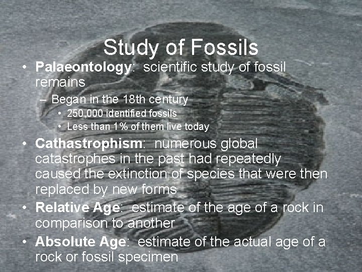 Study of Fossils • Palaeontology: scientific study of fossil remains – Began in the Study of Fossils • Palaeontology: scientific study of fossil remains – Began in the