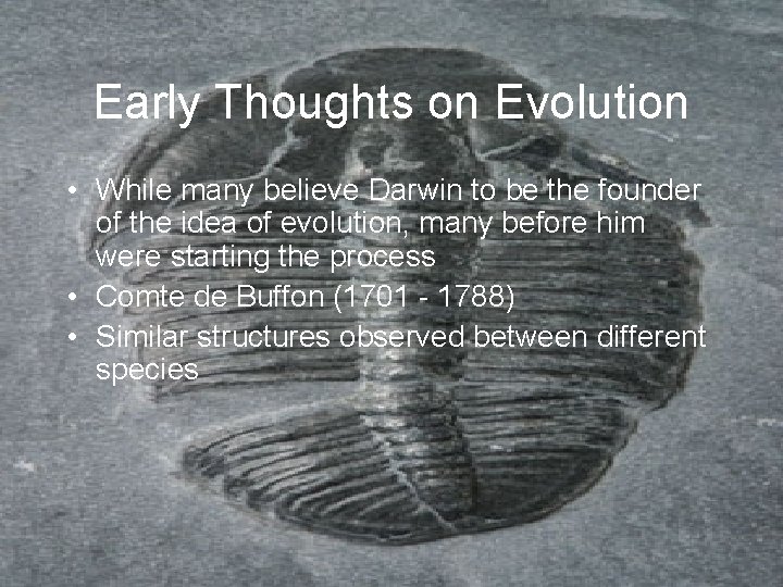 Early Thoughts on Evolution • While many believe Darwin to be the founder of Early Thoughts on Evolution • While many believe Darwin to be the founder of