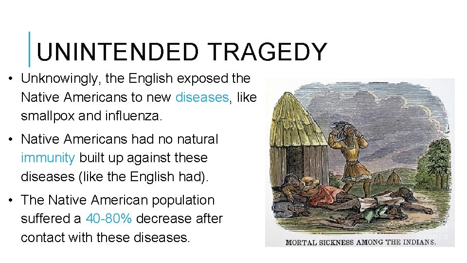UNINTENDED TRAGEDY • Unknowingly, the English exposed the Native Americans to new diseases, like
